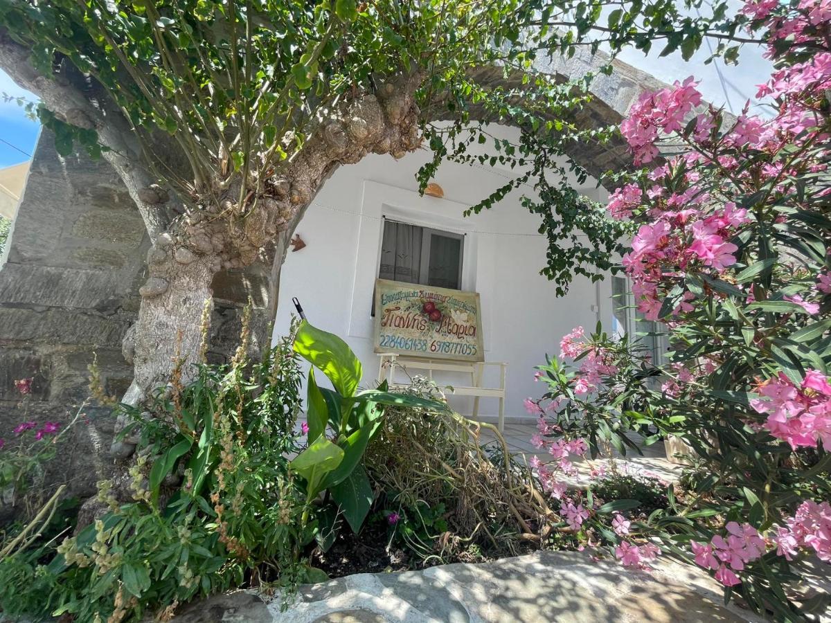 Yannis Maria Rooms Antiparos Town Dış mekan fotoğraf